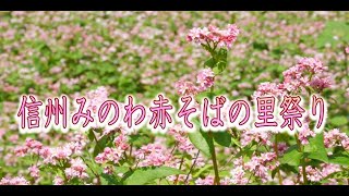 もみじチャンネル 2025年9月第4週／・信州みのわ赤そばの里祭り・博物館だより・特ダネ！農業王国