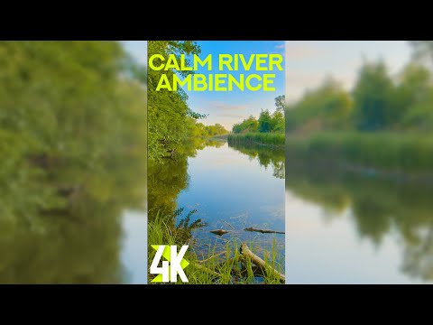 Calm River Ambience for Vertical Screens 4K - 3 HRS Beautiful Scenery & Nature Sounds