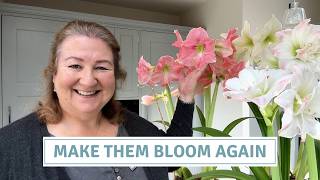 Don’t Throw Away Amaryllis! Plus Snapdragon Sowing Tips // Cottoverdi