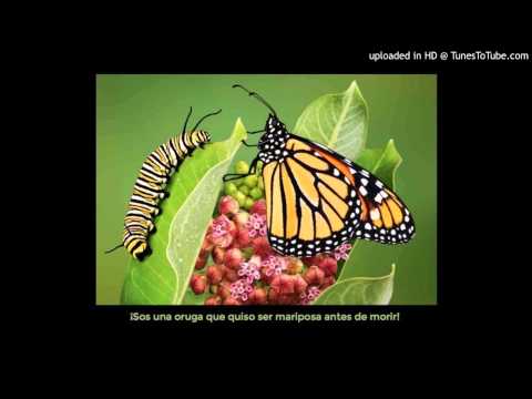 Today's Tango Is... Alma de Bandoneón - Rafael Canaro 1936