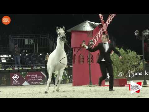 Paris 2016 - Senior Females Championship