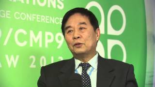 COP19: Liu Yanhua on Chinese perception of climate change - Climate ...