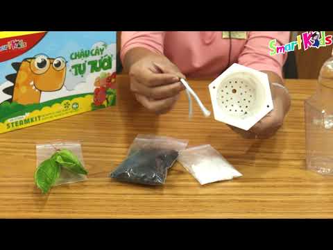 Khám phá " CHẬU CÂY TỰ TƯỚI" - Thí Nghiệm Khoa Học Vui Cùng Bộ Dụng Cụ STEAMKIT