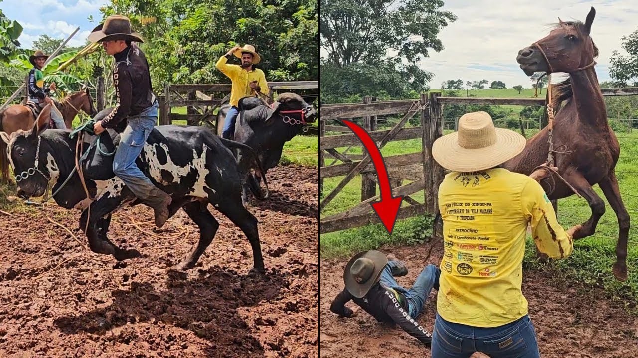 2 QUEDAS FEIA NO MESMO DIA😰 NA DOMA DOS ANIMAIS BRAVO
