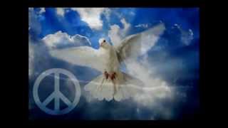 Marillion - White Feather (Traducción al español)