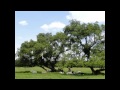 Viagens Wmv
