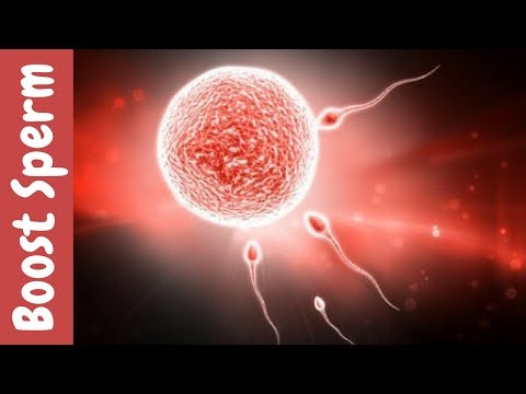 Increase Sperm Volume & Enhance Male Fertility Video