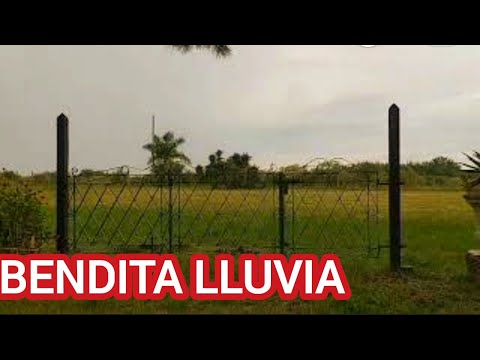 COLONIA N°6 EL SAUCE Dpto Uruguay Entre Ríos Argentina 26-02-2022