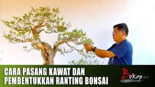 Download lagu CARA PASANG KAWAT DAN PEMBENTUKKAN RANTING BONSAI mp3 Download lagu CARA PASANG KAWAT DAN PEMBENTUKKAN RANTING BONSAI mp3