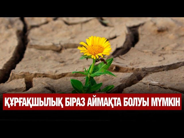 ЖАҢАЛЫҚТАР. 13.05.2025