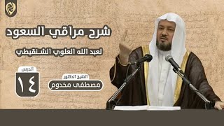 صورة شرح ألفية مراقي السعود | الدرس 14 | فضيلة الشيخ د. مصطفى مخدوم
