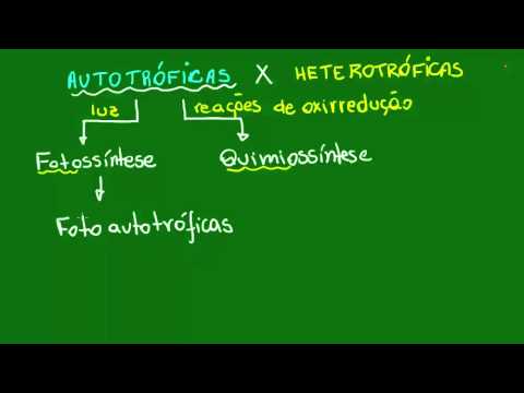 Bactérias autotróficas fotossintetizantes - Diversidade dos Seres Vivos - Biologia
