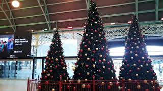 Christmas Sedney 2023