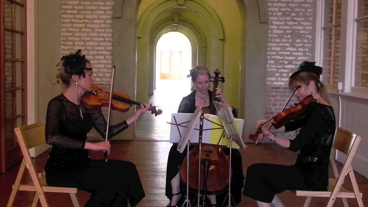 Hire Musical Heart Strings - Classical Ensemble in Martinez, CA | GigSalad