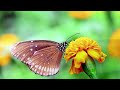 Le piano sur la vague  -  Paul Mauriat