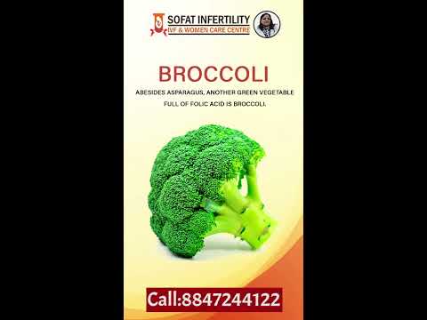 Effective Foods That Enhance Sperm Count - Sofat Infertility & Women Care Centre