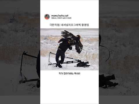극한직업 내셔널지오그래픽