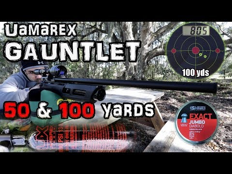 Umarex Synergis .22 Cal Review | Range Report And What Needs Improvement
