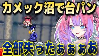 【みんなの苦手】カメックで沼って台パン発狂してしまうヴィヴィw【ホロライブ/綺々羅々ヴィヴィ】