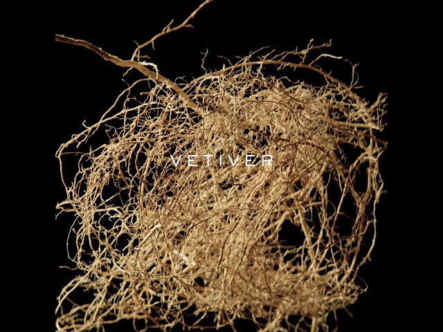 50ML Ralph Lauren Ralph's Club Eau de Parfum Spray  4 of 4 