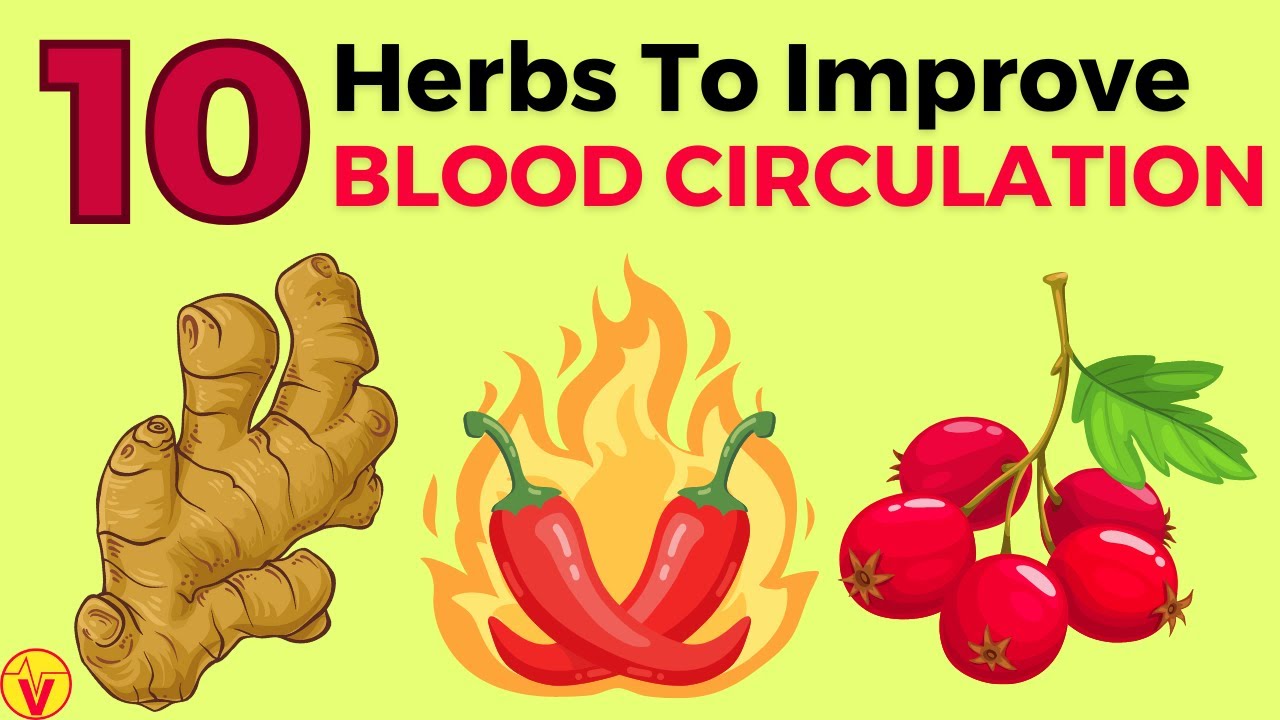 10 Super Herbs To Enhance Blood Circulation In Legs And Feet | VisitJoy