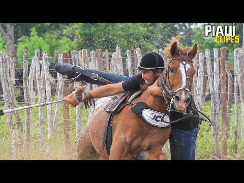 Rave e Bagaceira - Marquinhos Lima e Anderson e o Véi Da Pisadinha (PIAUÍ CLIPES)