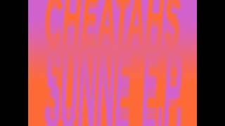 Cheatahs - Controller