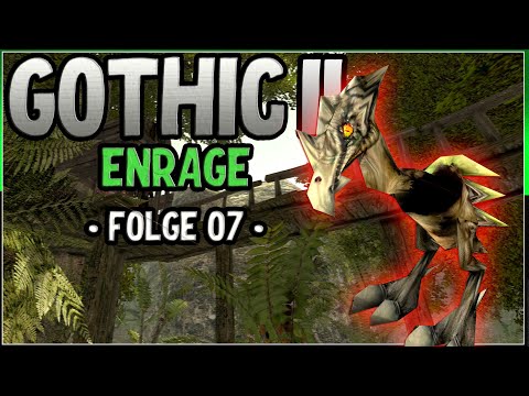 Das arme VÖGELCHEN :( | Gothic 2 Let's Play (Dirty Swamp) | Folge 07 Deutsch