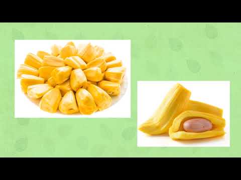 Mango and Jack-Fruit Diversity Fair and Entrepreneurship Development Programme