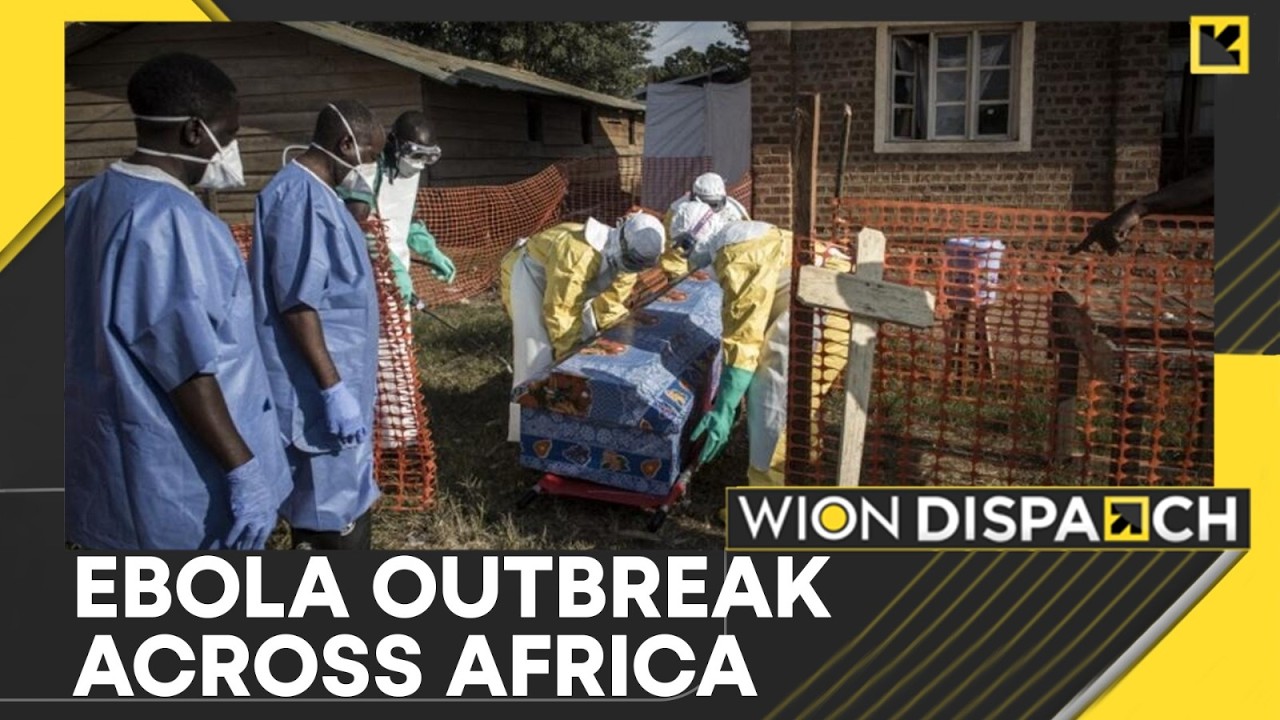 India-Africa Forum Summit To Be Held Later | WION Dispatch