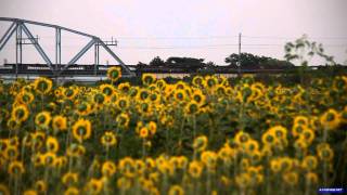 preview picture of video '常磐線貨物94レ 阿武隈川橋梁にて 2010年8月撮影 freight train at Iwanuma, Miyagi'