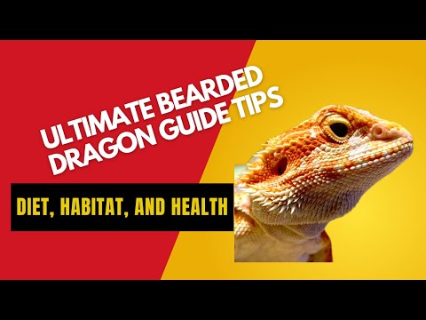 Ultimate Bearded Dragon Guide: Diet, Habitat, and Health Tips #animals #beardeddragon