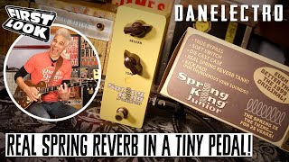Video thumbnail for Danelectro Spring King Junior Reverb Demo | First Look by Premier Guitar