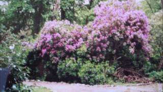 By Myself Rosemary Clooney