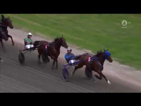 Elitloppet Final 2017, Timoko