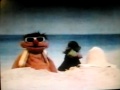 Sesame Street Ernie Buries Bert At The Beach AVI