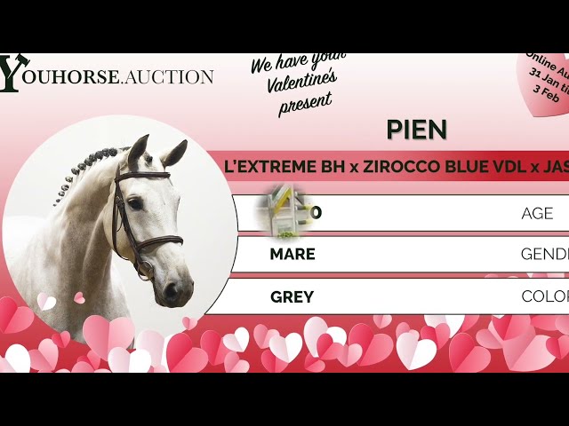 Pien showvideo indoor