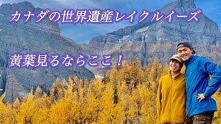 カナダの世界遺産で黄葉登山したら幻想的すぎた
