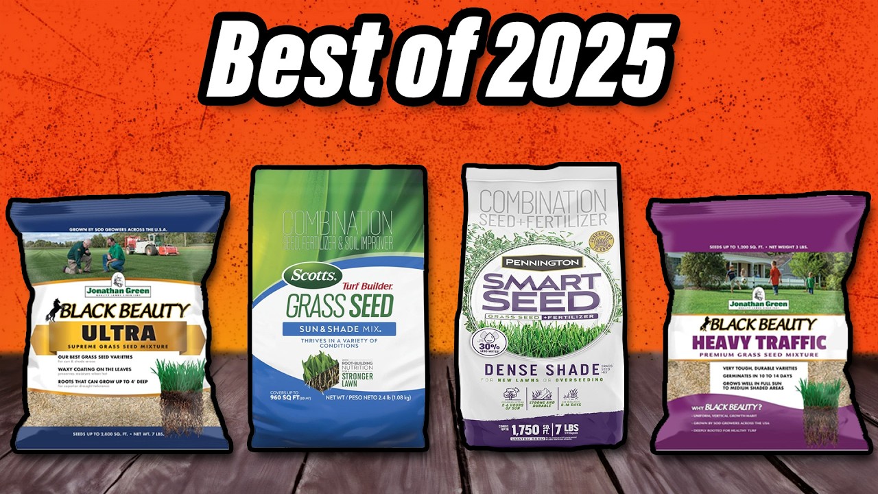 Best Grass Seeds 2026 - The Only 10 To Consider Today