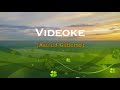 Where Have you Been? (Videoke)