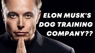 How to Run a Successful Dog Training Business Like Elon Musk