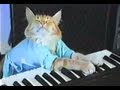 Charlie Schmidt's Keyboard Cat! - THE ORIGINAL ...