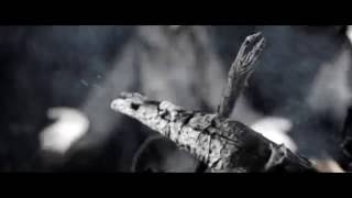 Music video thumbnail preview for \ by Black Cult