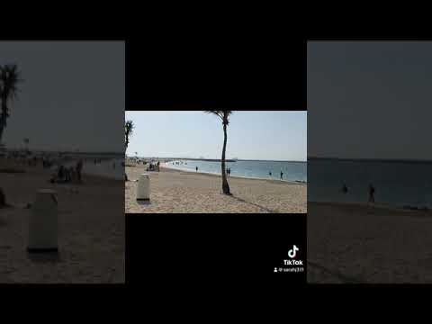 #camping #beach #almamzarbeachpark #dubai