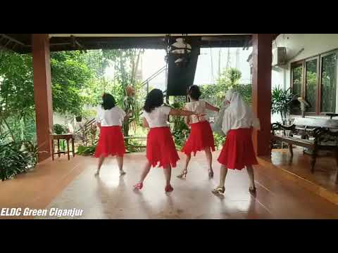 ME PASE Line Dance (Demo)