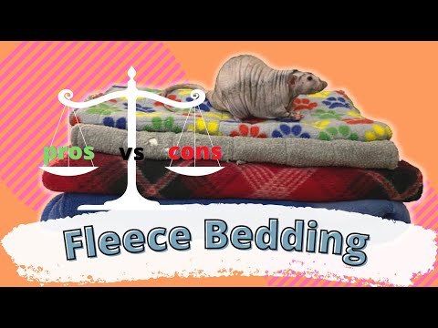YouTube video about: What bedding is best for rats?