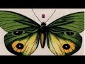 MIMICKING BIRDS - 'Eons' LP May 2014 ...