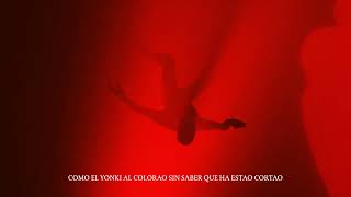 PERRO HAMBRIENTO Lyrics English Translation