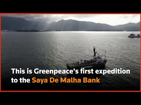 綠色和平組織的船在Saya De Malha探險中起航 (Greenpeace ship sets sail on Saya De Malha expedition)