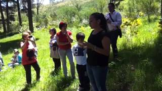 preview picture of video 'Gredos Pinar de Hoyocasero. Clase de botánica in situ.'